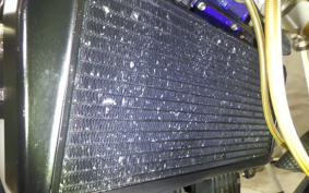 APRILIA TUONO 1000R Factory 2008