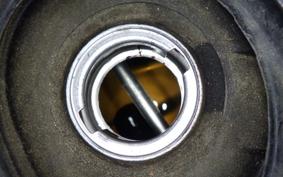 HONDA TODAY 2020 AF61