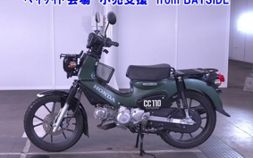 OTHER CC110-3
