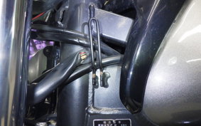 YAMAHA ZEAL 2018 3YX