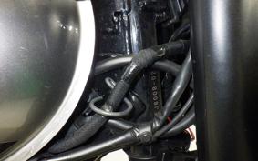 KAWASAKI W800 CAFE 2020 EJ800B