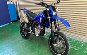YAMAHA WR250X DG15J