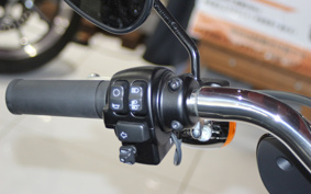HARLEY FLSB 2022 YMJ