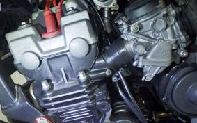 HONDA HORNET 250 MC31