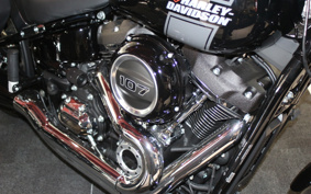 HARLEY  HARLEY FLSB 2022 YMJ