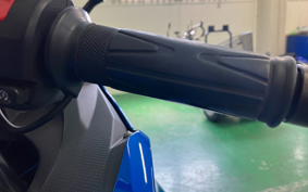 KAWASAKI NINJA 250 EX250P
