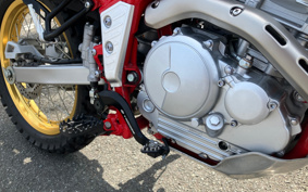 YAMAHA  SEROW 250 FINAL ED DG31J