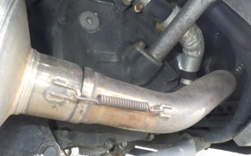 YAMAHA MAXAM 250 SG21J