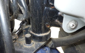 SUZUKI BIRDIE 50 BA42A