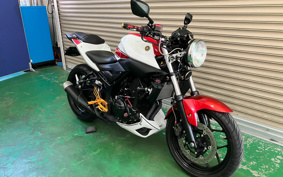 YAMAHA MT-25 RG10J