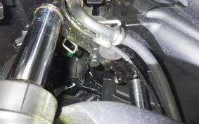 YAMAHA CYGNUSｸﾞﾘﾌｧｽ SEJ4J