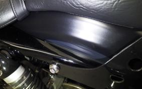 HARLEY XL883N 2021
