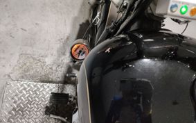YAMAHA VIRAGO 250 3DM