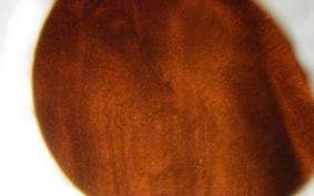 HARLEY FXDL 1580 2011