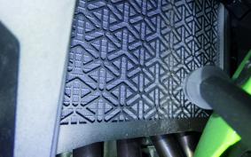 KAWASAKI ZX-4RRKRT 2024 ZX400P