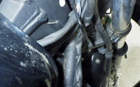 KAWASAKI NINJA 250R 2020 EX250K