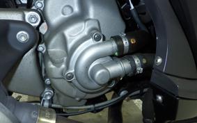 OTHER +DERBI RANブラ250I 2018
