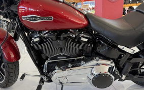 HARLEY FLSB 2019 YMJ