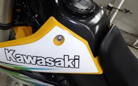 KAWASAKI KLX250D TRACKER X LX250V