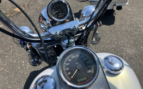 HARLEY FLSTC 2006 BW5