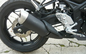 YAMAHA YZF-R25 RG74J