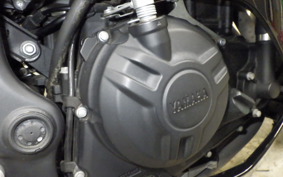 YAMAHA YZF-R25 2011 RG10J