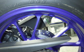 YAMAHA YZF-R15 1999 RG86J