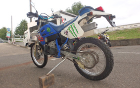 SUZUKI RMX250 S SJ13A