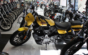 HARLEY  HARLEY RH975S NIGHT  STAR  2023 ZF1