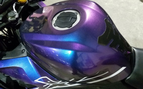 KAWASAKI NINJA ZX-25R ZX250E