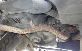 YAMAHA VINO 50 SA37J