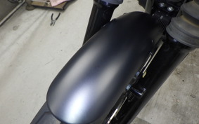 HARLEY XL1200NS 2021