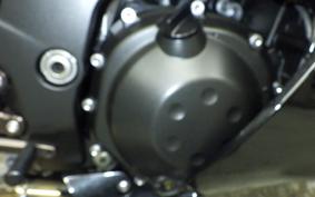 KAWASAKI ZX 1400 NINJA R A 2013