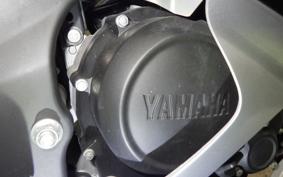 YAMAHA YZF-R15M 1989