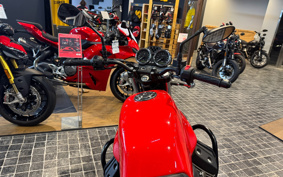 MOTO GUZZI MOTO GUZZI V7 STONE 2019 ZGULW