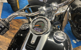 HARLEY FLFB 2019 YFJ