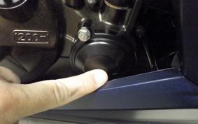 SUZUKI ｼﾞｸｻｰ250SF 2009 ED22Y