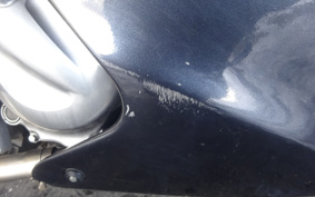 KAWASAKI ZZ-R250 EX250H