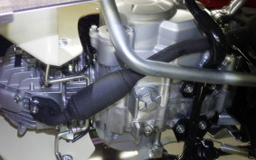 HONDA C50 SUPER CUB 2018 AA09