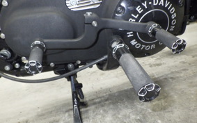 HARLEY XL883N 2013