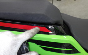 KAWASAKI NINJA 250 2 2019 EX250Y