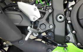 KAWASAKI ZX-4RR 2023