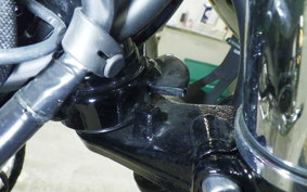 KAWASAKI W800 2022