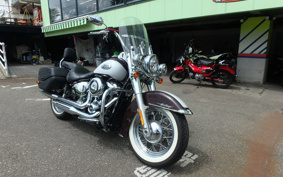 HARLEY FLHC1340 2021 YAJ