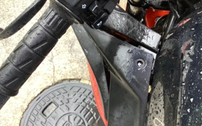 KAWASAKI NINJA 250 EX250L