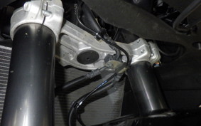 KAWASAKI NINJA 1000SX 2024 ZXT02K