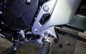 SUZUKI GSX250RA 2006
