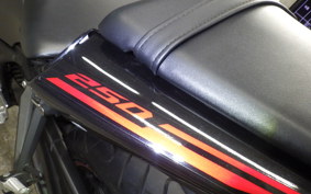 YAMAHA YZF-R25 2021 RG10J