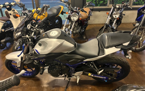YAMAHA MT-25 RG10J