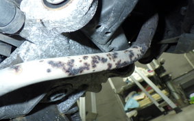 HONDA GIORNO 3 2015 AF77